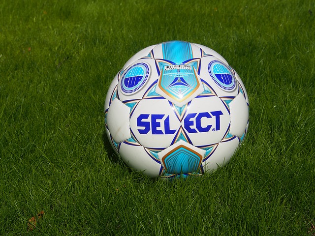 中国代表团 中国代表团