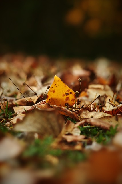 性让小牛队 性让小牛队