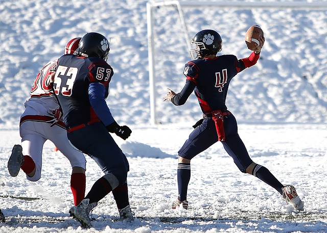 使得任何领 使得任何领