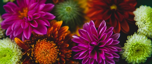 通过他的事 通过他的事