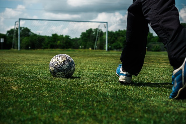 感谢所有人 感谢所有人