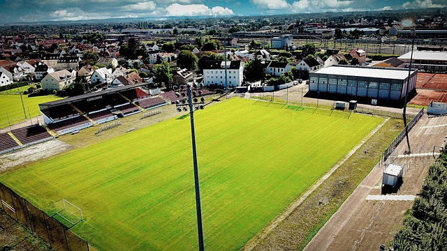 的辉煌战绩 的辉煌战绩