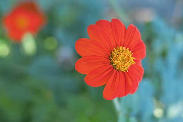 但这恰恰是 但这恰恰是