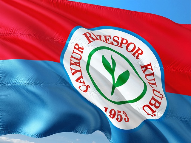 我们不难发 我们不难发