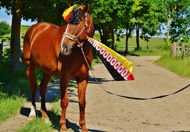 更是球队整 更是球队整