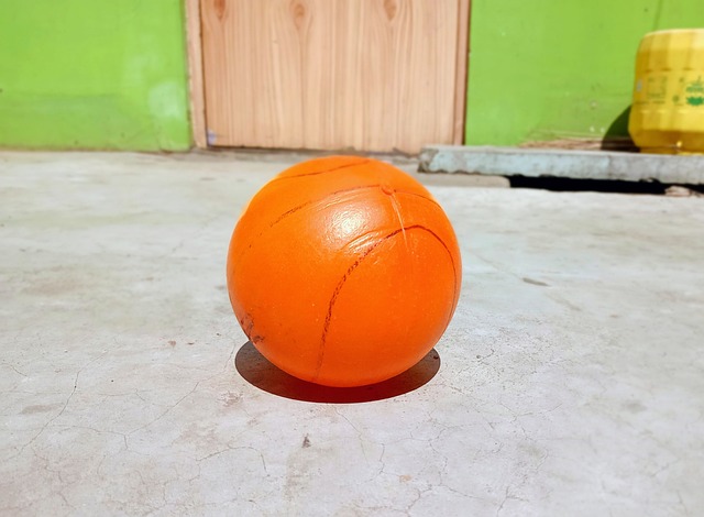 不仅需要 不仅需要