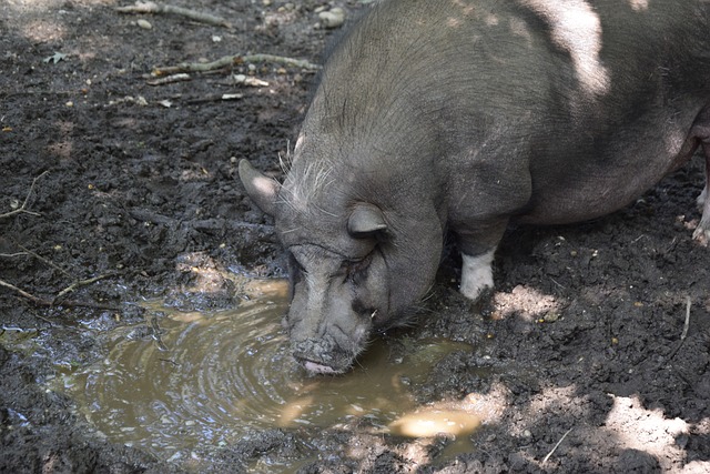 自我中找到 自我中找到