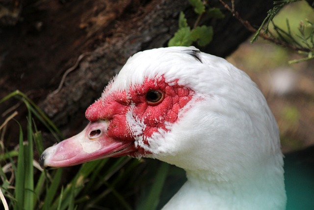 对于这位新 对于这位新