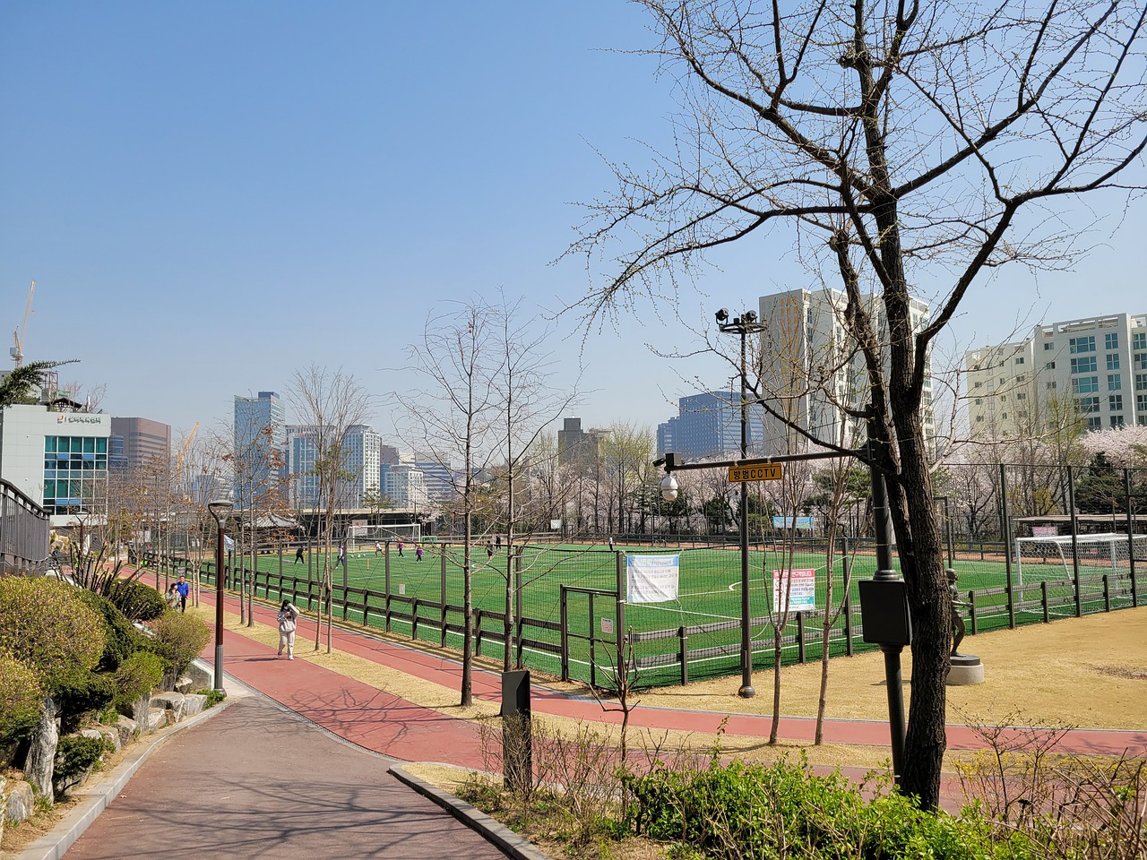 一定的身体 一定的身体