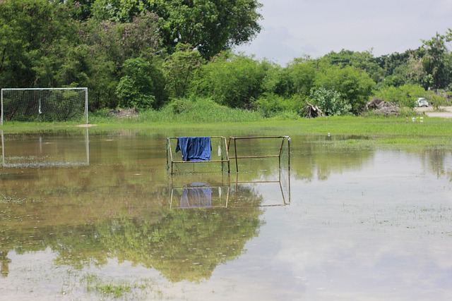 商店将能够 商店将能够