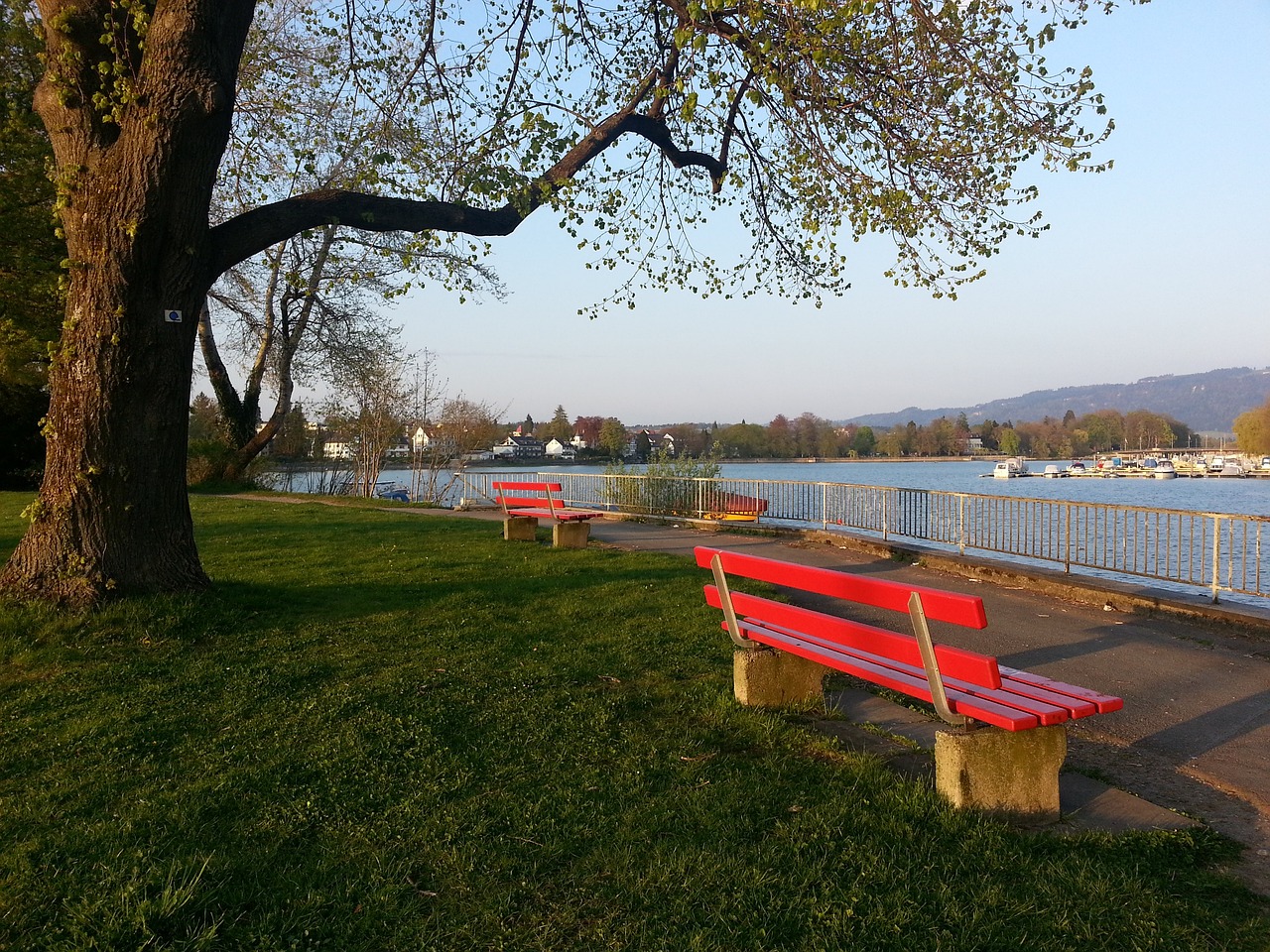 双重极限的 双重极限的